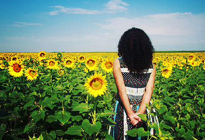 小七电话在线网页轰炸